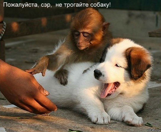 Орынбасар Заркымова