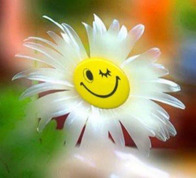 Биэпп Челябинск