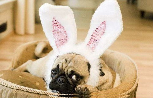 Анатолий Цацын