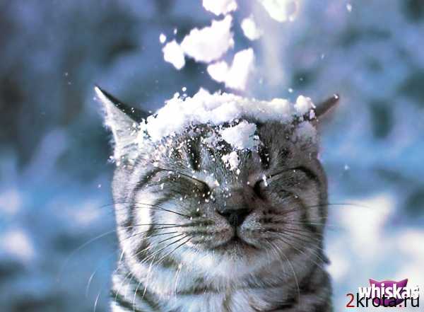 Евгений Кузьмин