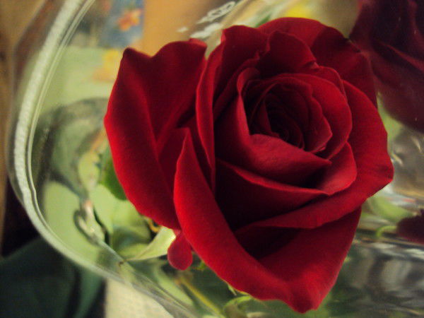 !!!!!!!!!!!!! ........