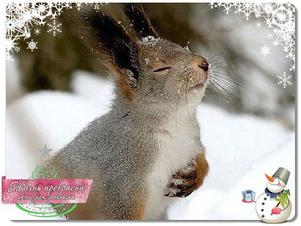 Наталья Степановна