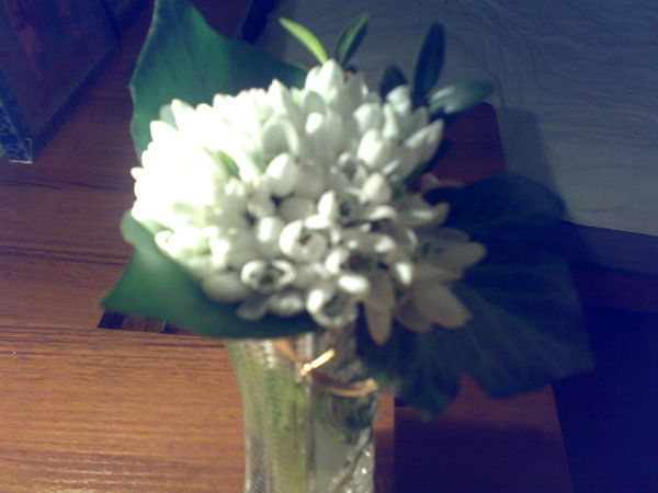 Катенька Вус