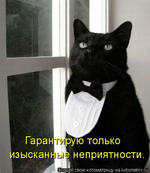 Елена Земенкова