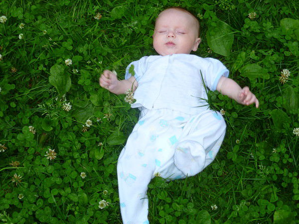 Сергей Волков