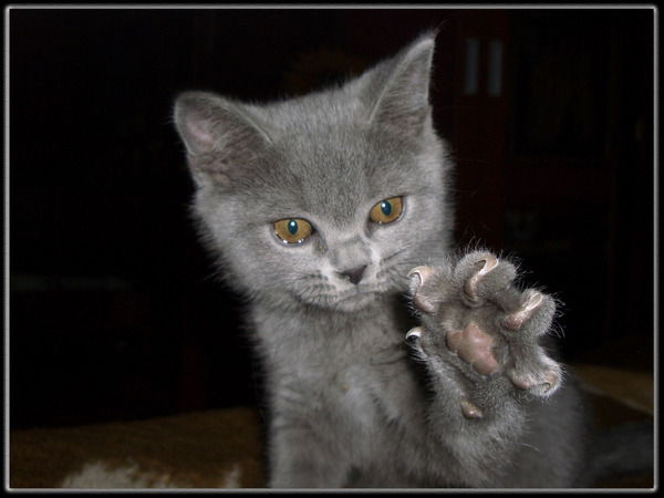 Нурлан Сагиев