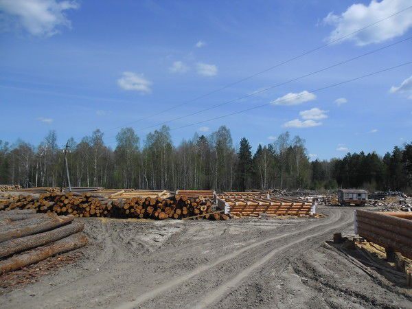 Ип Грузляк В.э. Грузляк В.э.