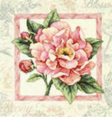 Жанна Косметика+