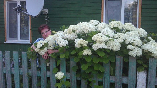 Марина Хмельницкая