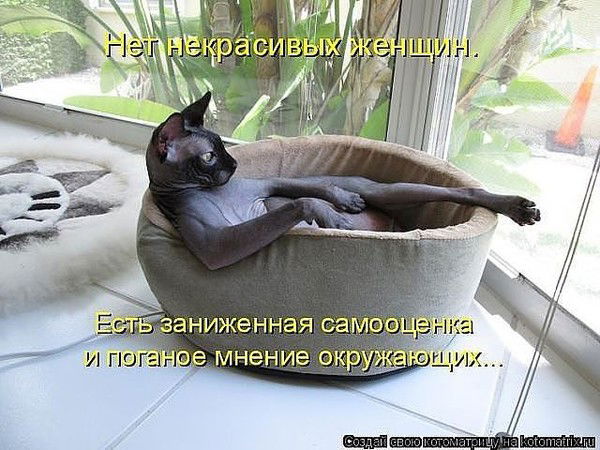 Лидия Арсений