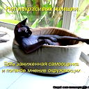 Лидия Арсений