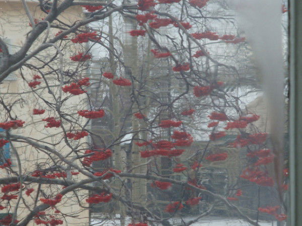 Борис Васильев