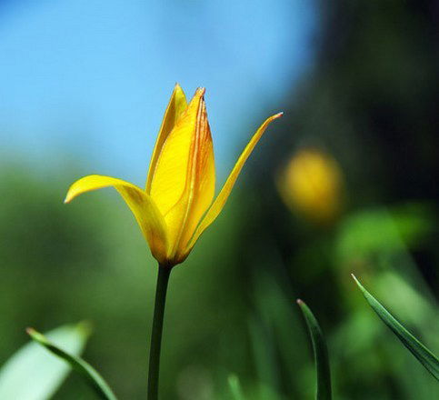 Марина Овсянникова