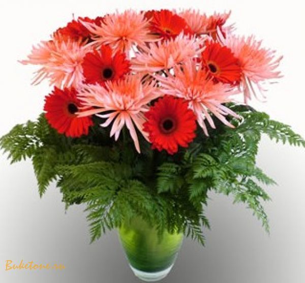 Владислав Мартынов