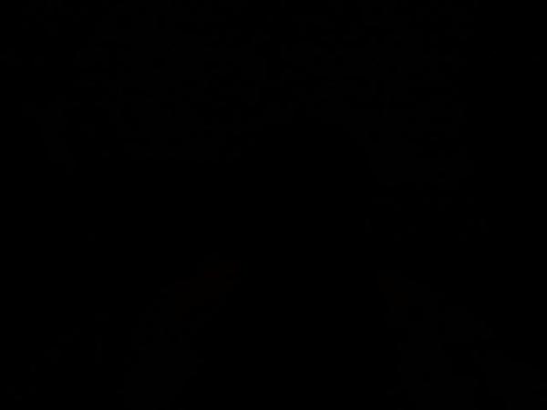 Ставрос Ставрос