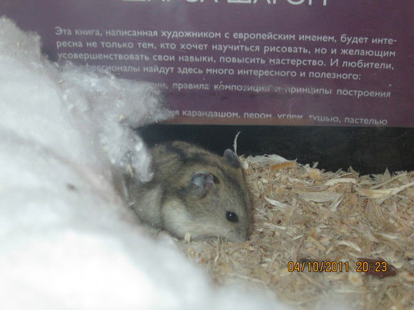 Неизвестно Неизвестно