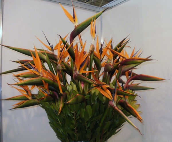 Татьяна Ганнич ( Сидоренко )