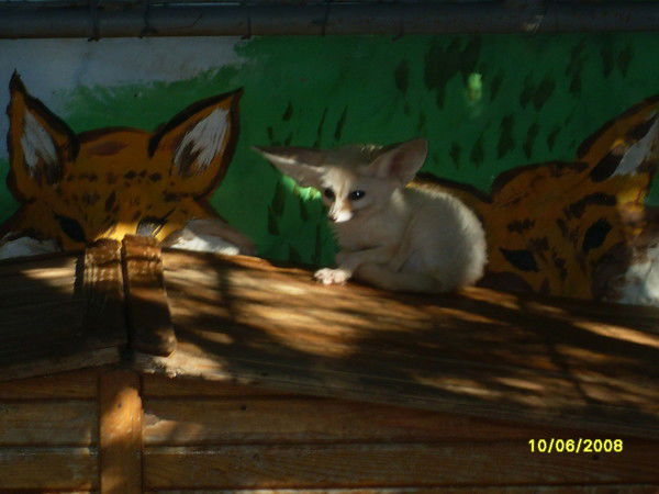 Татьяна Журавлева