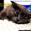 Дмитрий ...