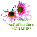 Асия Азизбекова