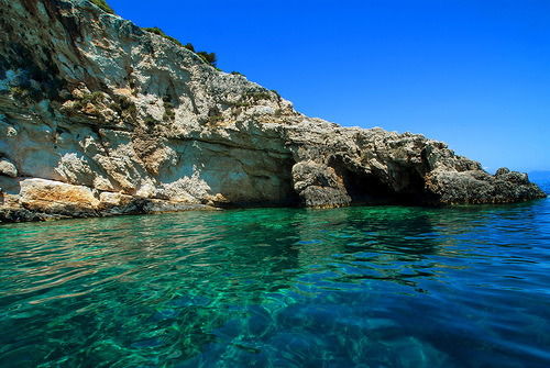 Вера Каштанова