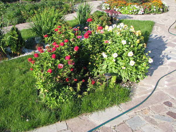 Ирина Конюхова