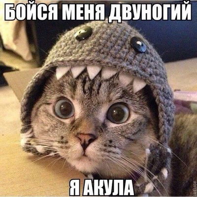 Михаил Фатеев