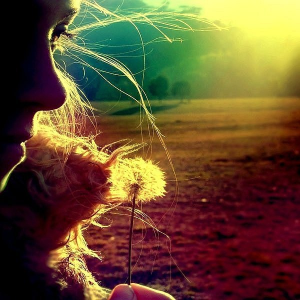 Ольга Сапожникова