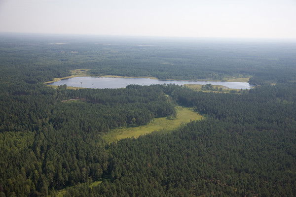 Дмитрий Шестеров