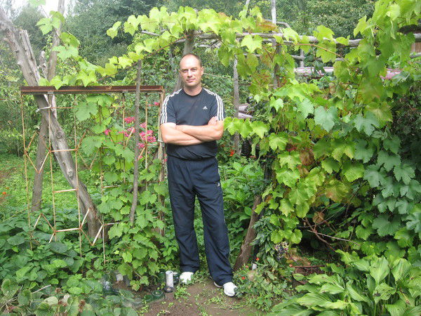 Андрей Наумов