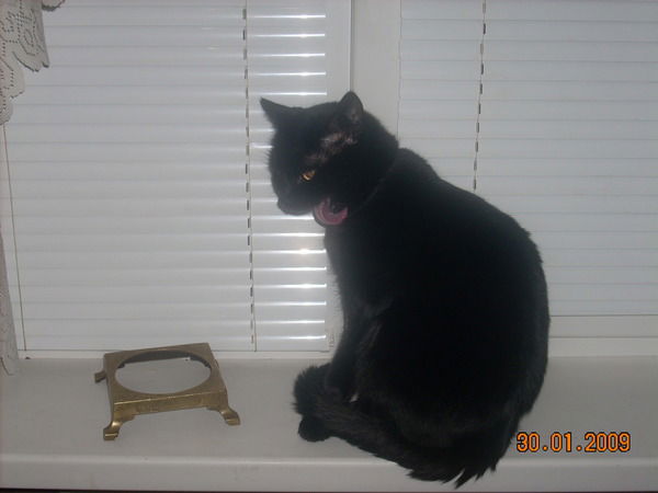 Зоя Сдобникова