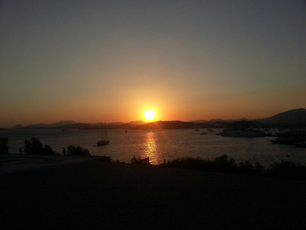 Умникова Екатерина