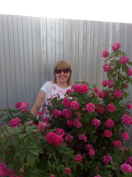 Светлана Котельникова