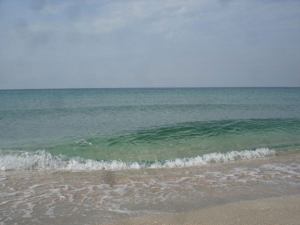 Михаил Соколенко