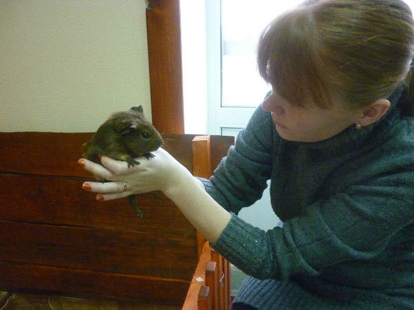 Татьяна Егорова