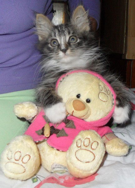 Елена Смыслова