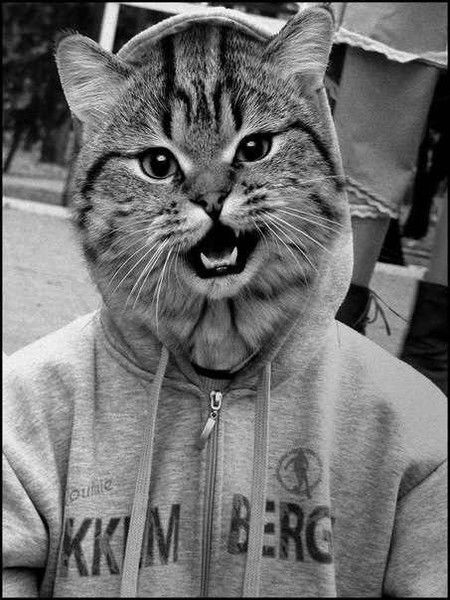 ~~~Viktor ~~~Uzum@ki~~~