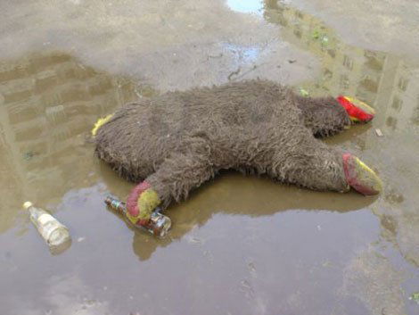 Ирина Волкова