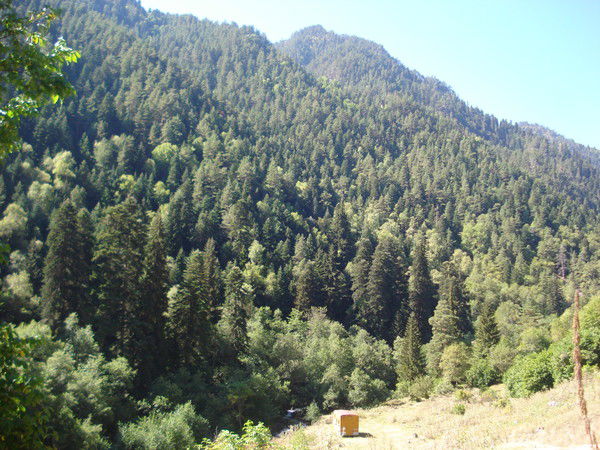 Артур Темиргалиев