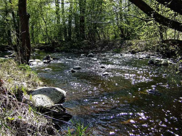 Александр Гурулёв