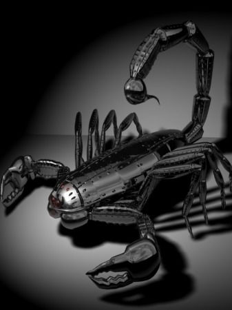 Андрей Костромитин