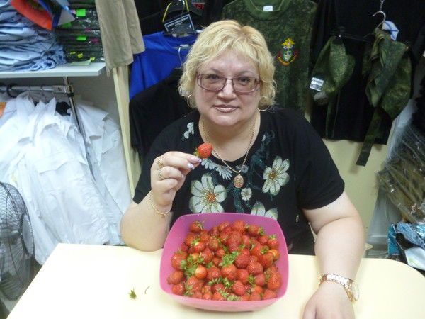 Елена Ивановна