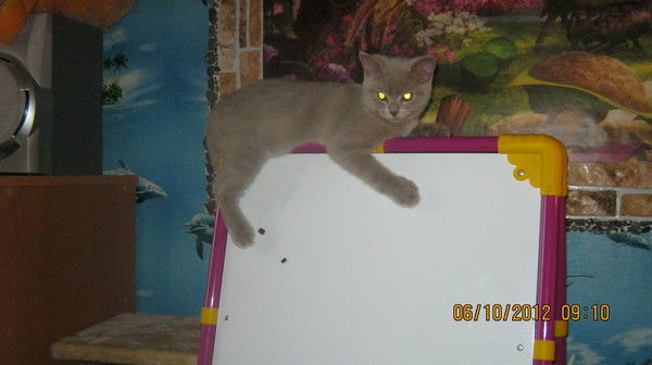 Марина Гараева