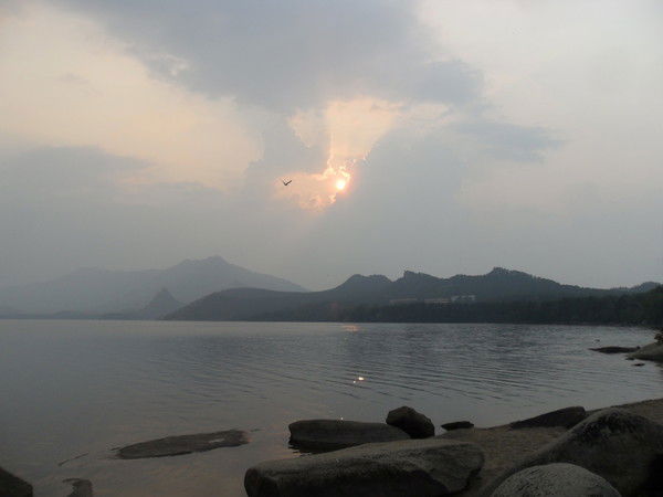 Жанна Салменова