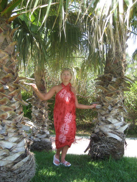 Елена Меркурьева