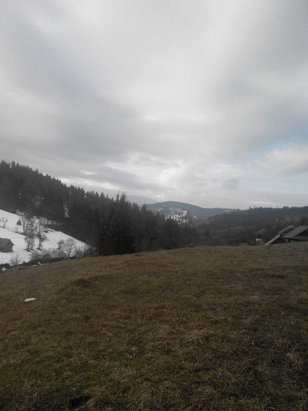 Василий Романенко