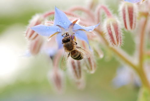 Сергей Админов