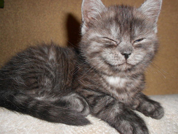 Ирина Турина