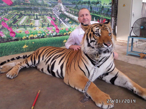 Михаил Тихомиров