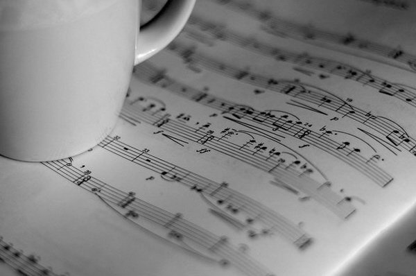 Лена Сингаевская